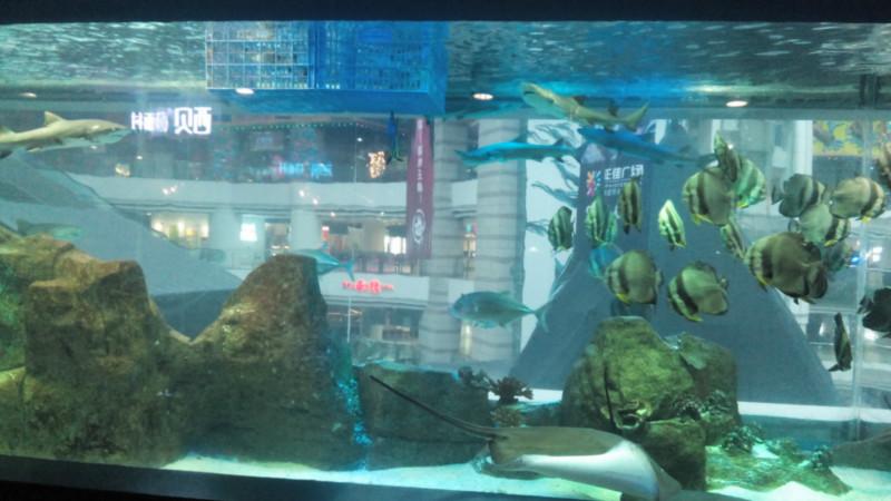 供應廣州大型魚缸亞克力魚缸訂做