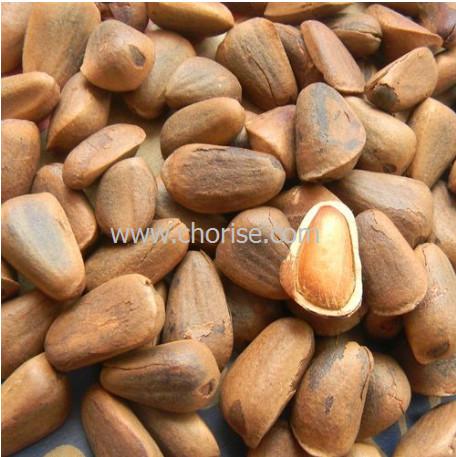 供應真空包裝機供貨商，四川真空包裝機供貨商，成都真空包裝機供貨商