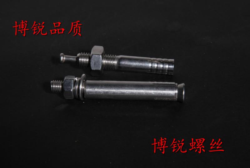 供應(yīng)廣州304不銹鋼膨脹螺絲