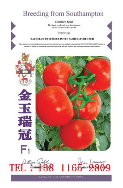 供應(yīng)番茄種子進(jìn)口番茄種子
