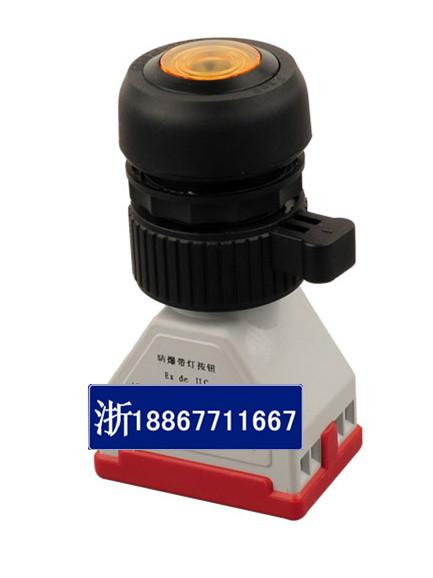 防爆帶燈按鈕CH0812-74Y2黃色圖片