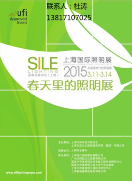 2015年上海LED照明展图片