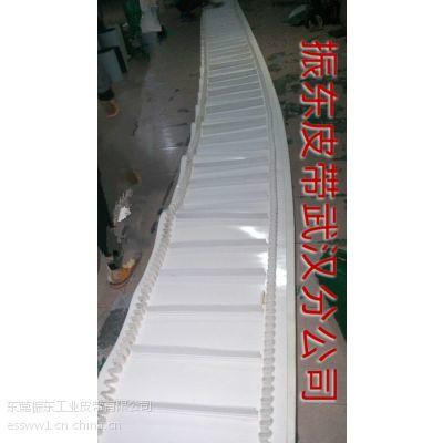 供應(yīng)湖北加工裙邊輸送帶