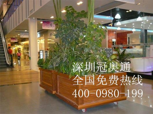 供應(yīng)冠奧通花箱-防腐木材料應(yīng)