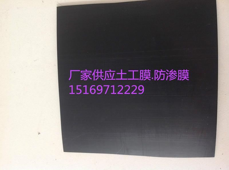 供應(yīng)廠家直銷土工布 土工膜 一布一膜
