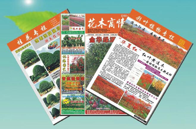 供应《花木商情》杂志期刊订阅图片