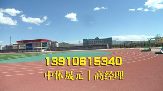 供应秦皇岛透气型塑胶跑道13910615340｜秦皇岛塑胶跑道建设