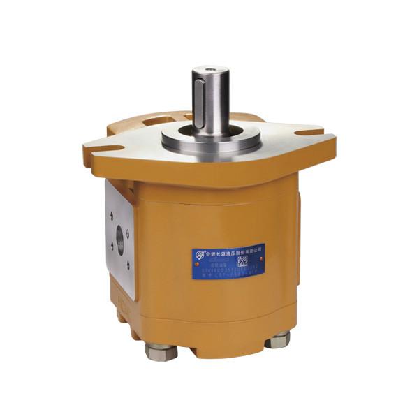 CBF-F6長源齒輪泵齒輪油泵圖片