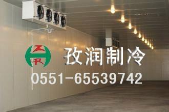 室內(nèi)組合式冷庫安裝圖片