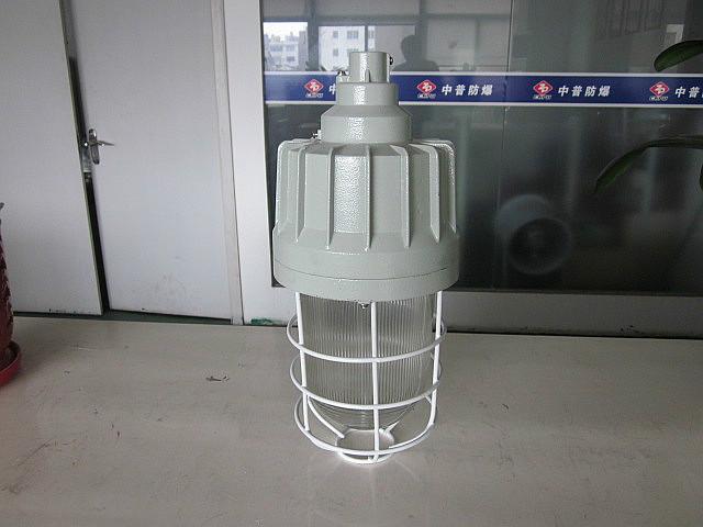 IIC防爆燈圖片