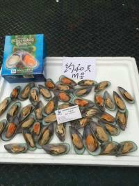 新西蘭圖片/新西蘭樣板圖 (4)