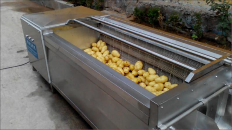 廠家直銷毛刷清洗機(jī)土豆蘿卜清洗機(jī)圖片