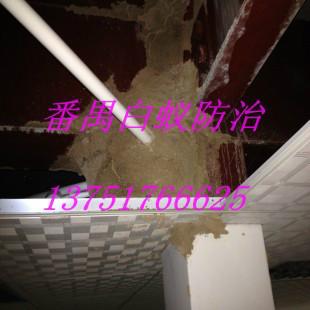 供應大龍街哪家滅白蟻公司*，大龍街滅白蟻*，大龍街滅白蟻價錢