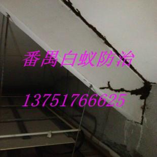 供應(yīng)洛浦街白蟻防治哪家效果好。洛浦街白蟻防治哪家*
