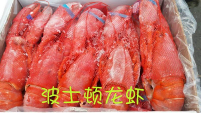 供應(yīng)熟凍波士頓龍蝦