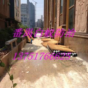 供應沙灣鎮(zhèn)滅白蟻*，沙灣鎮(zhèn)滅白蟻企業(yè)，沙灣鎮(zhèn)滅白蟻報價