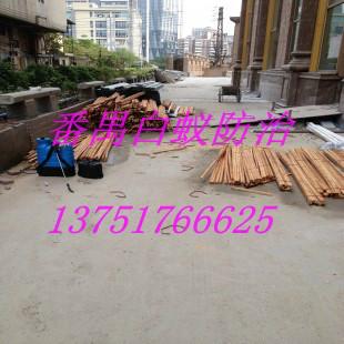 南村鎮(zhèn)滅白蟻公司圖片