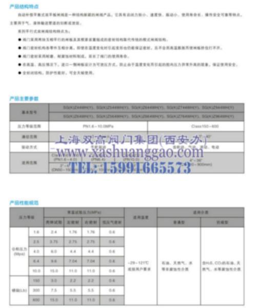 上海双高自动补偿平微式双平板闸阀图片