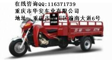 250三轮摩托车厂家图片