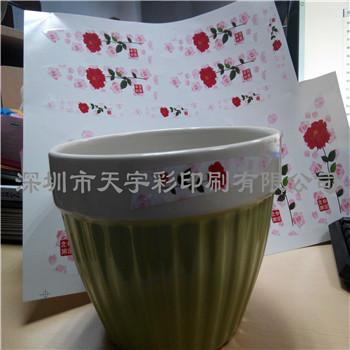 供應(yīng)深圳龍崗彩色貼紙透明可撕水貼紙