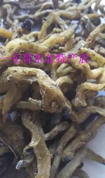 供應(yīng)玉竹/*玉竹干