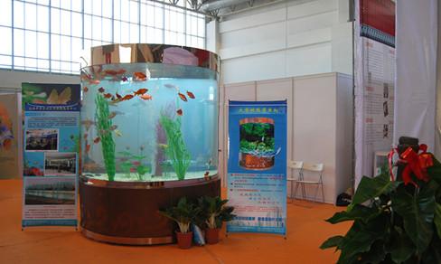供應(yīng)賓館大堂觀賞魚缸大型亞克力魚缸廠