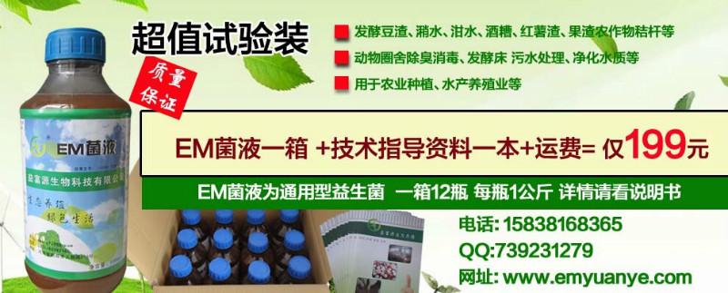 供应活性em菌养牛用法效果行情报价厂家质量