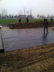 供應(yīng)用于防滲透的1.0光面土工膜 防滲土工膜廠家  防滲土工膜生產(chǎn)廠家