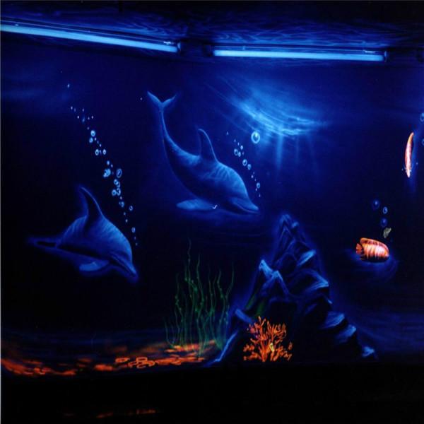 供應(yīng)五星行夜光畫(huà)*隱形粉優(yōu)質(zhì)隱形粉*隱形粉