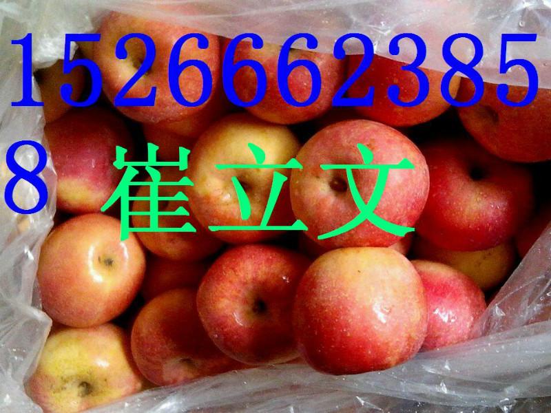 供應(yīng)膜袋紅富士價格，山東紅富士蘋果報價
