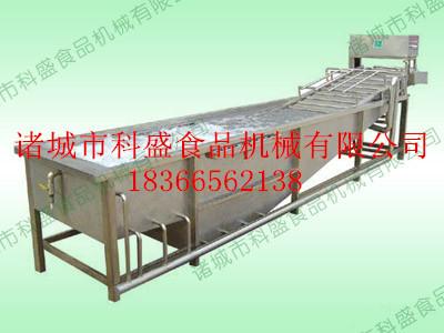 供應(yīng)生姜清洗機(jī)
