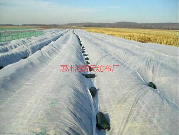 惠州無(wú)紡布工廠圖片