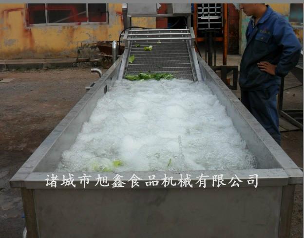 供應旭鑫牌小型蔬菜清洗機