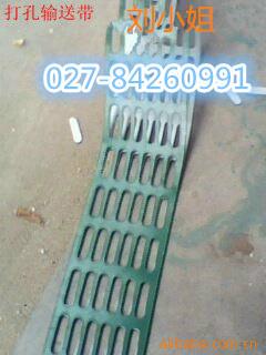 打孔輸送帶圖片/打孔輸送帶樣板圖 (2)