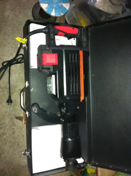 東北豹96電鎬圖片