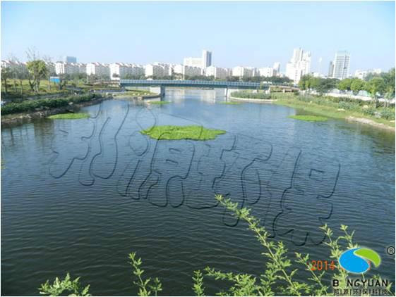供應(yīng)涼水河上建起生態(tài)納污浮島