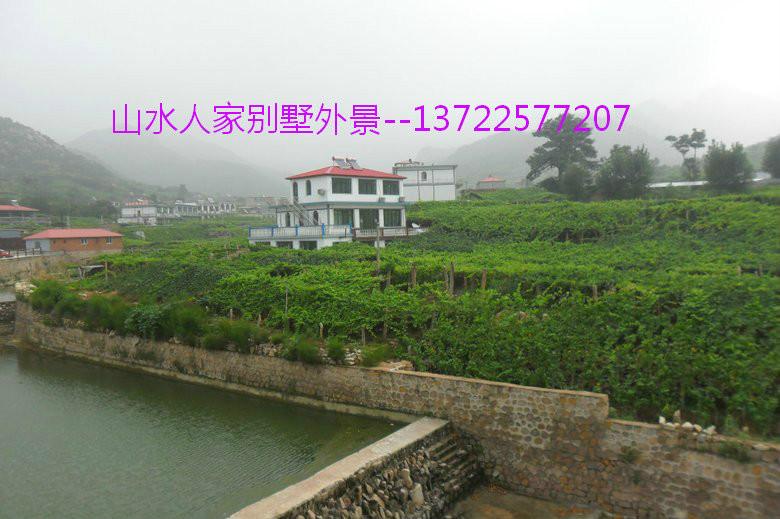 昌黎葡萄圖片/昌黎葡萄樣板圖 (2)