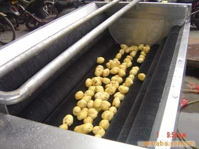 供應(yīng)毛輥去皮清洗機  根莖類毛輥清洗機