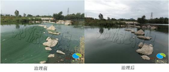 淺談水體富營養(yǎng)化治理圖片