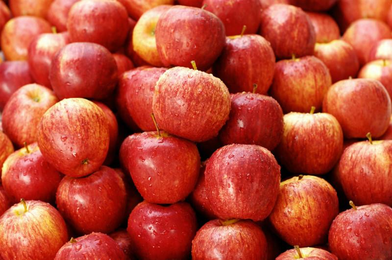 供應(yīng)全國各地蘋果