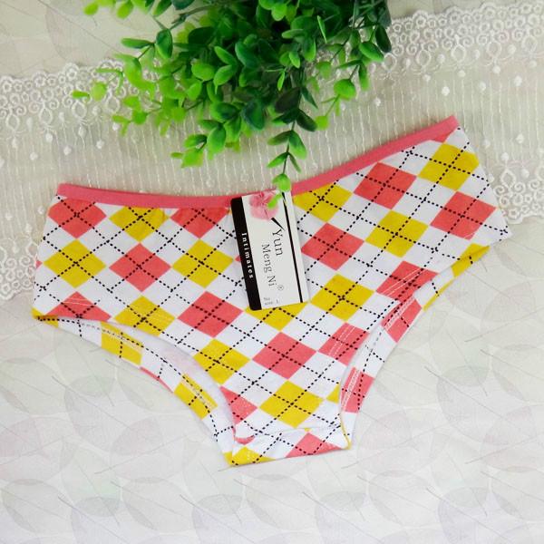 供應(yīng)女士全棉外貿(mào)內(nèi)褲批發(fā) 廠家批發(fā)全棉女士?jī)?nèi)褲 外貿(mào)印花女式內(nèi)褲