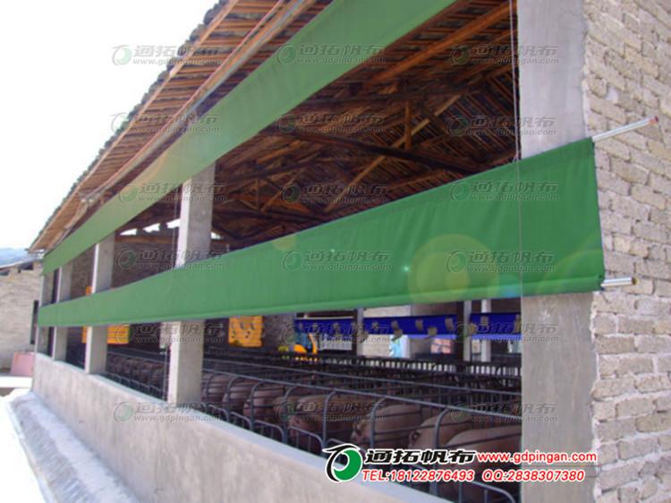 養(yǎng)殖場圖片/養(yǎng)殖場樣板圖 (3)