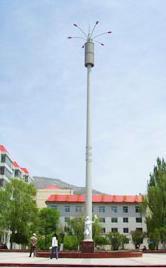 供應(yīng)避雷塔廠家避雷塔價(jià)格 避雷塔生產(chǎn)廠家避雷塔價(jià)格 避雷塔生產(chǎn)廠家避雷針價(jià)格 避雷塔廠家避雷針價(jià)格