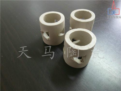供應(yīng)陶瓷洗滌環(huán)填料*銷售 陶瓷洗滌環(huán)填料吸附原理