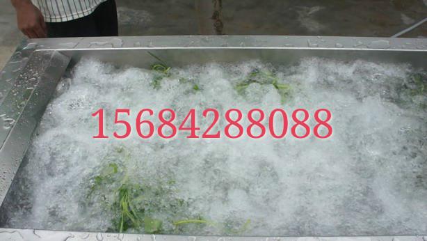供應(yīng)不銹鋼菠菜清洗機(jī)
