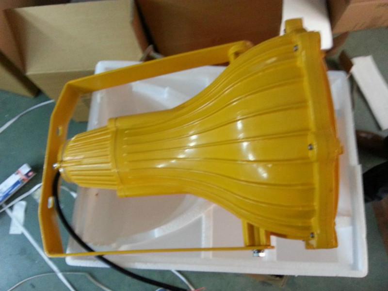 防爆投光燈圖片/防爆投光燈樣板圖 (4)