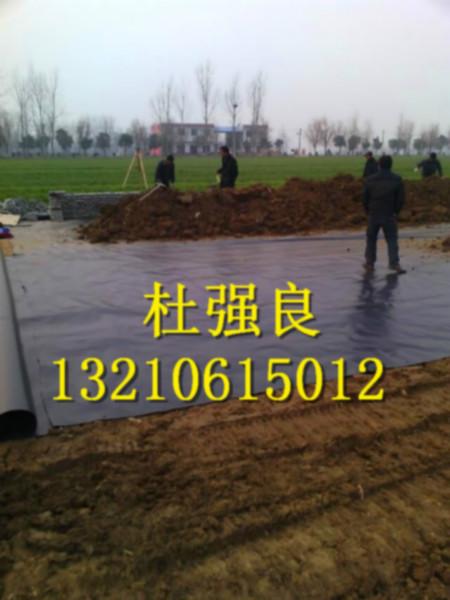 供應(yīng)0.5蓮藕養(yǎng)殖地膜 蓮藕合作社推薦_養(yǎng)殖地膜_*防滲膜_旱地淺藕養(yǎng)