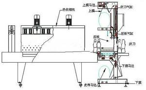 包膜圖片/包膜樣板圖 (2)