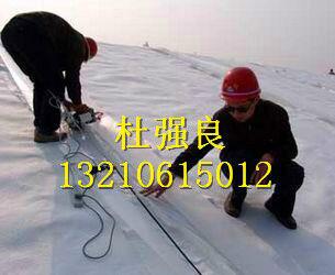 旱地養(yǎng)藕膜圖片/旱地養(yǎng)藕膜樣板圖 (3)