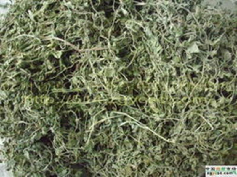 供應(yīng)*草提取物